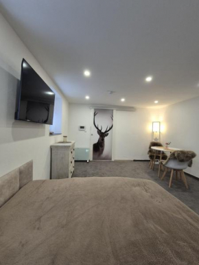 Litzi's Schwarzwald Apartment